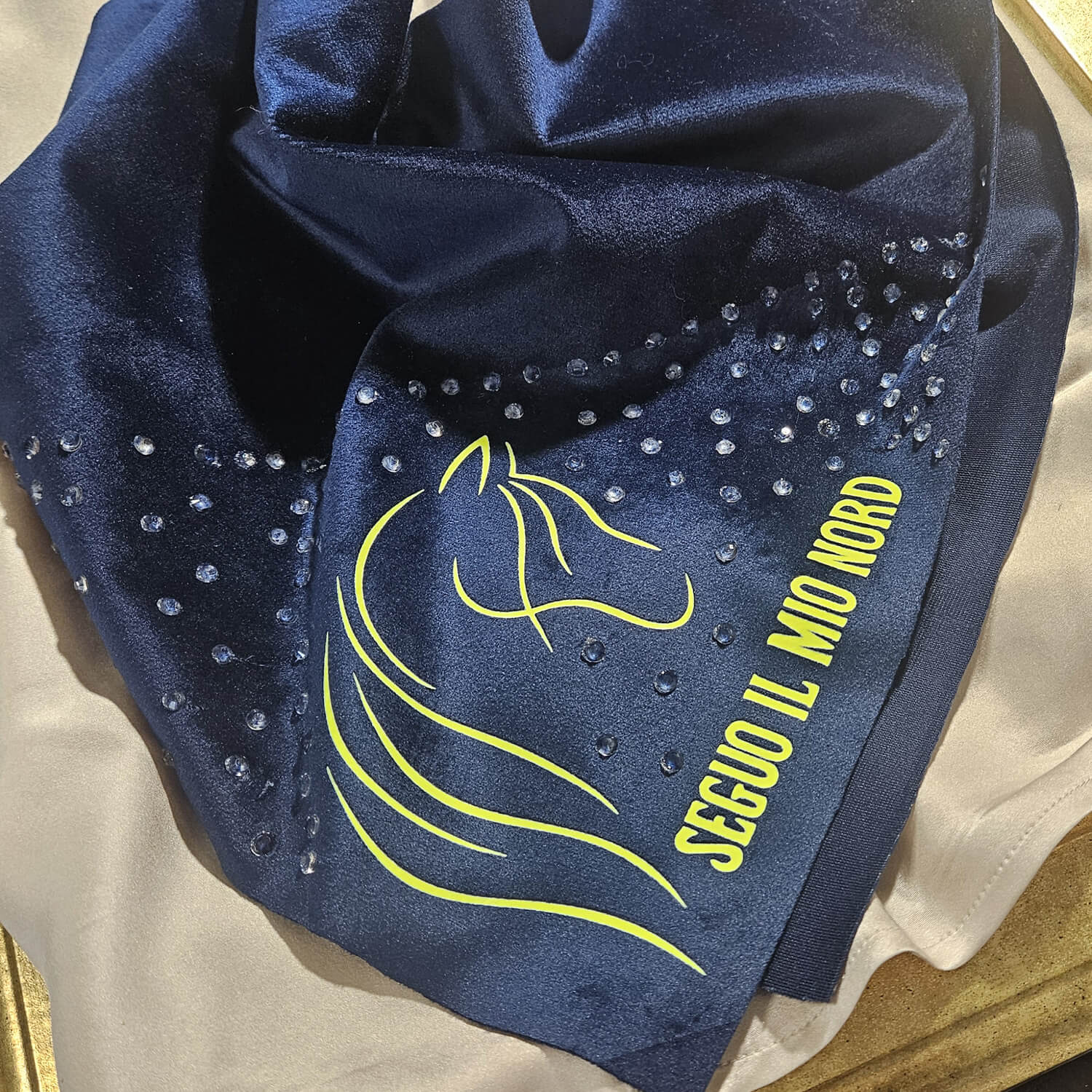 I Follow My North, Bandana Scarf with Graphic Design